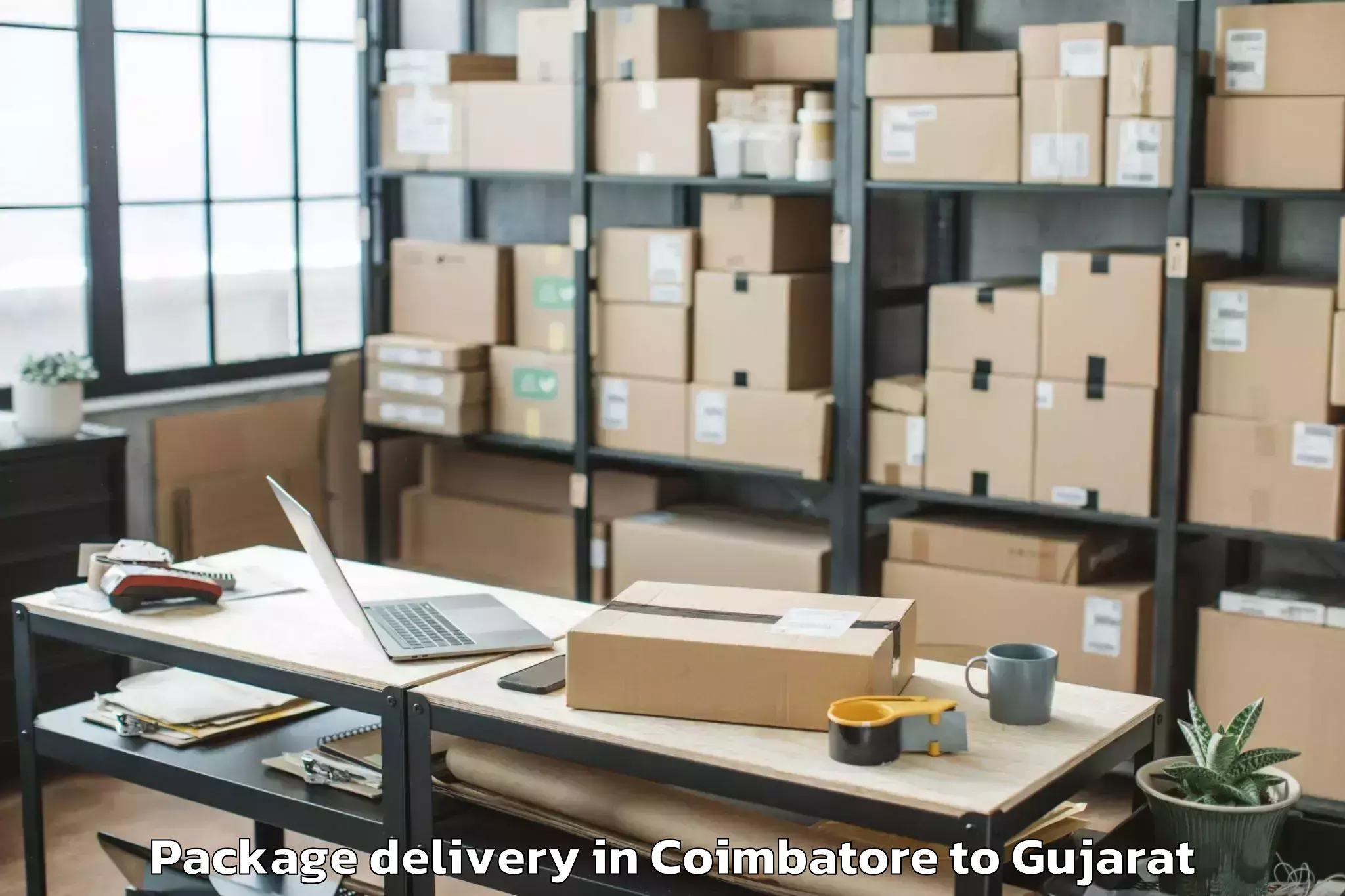 Reliable Coimbatore to Indus University Ahmedabad Package Delivery